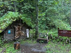 -峡谷浮石林景区