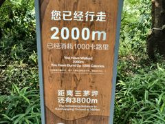 -惠山国家森林公园