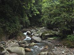 -西岭雪山大飞水景区