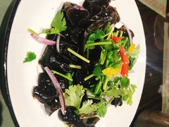 高山木耳-松针蔡记蒸饺(花园路店)