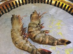 -熊出没日本烧肉放题