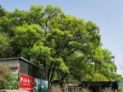-天怡·鱼工厂(梅溪湖店)