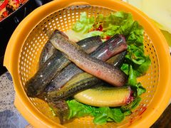 -六公里老火锅(总店)