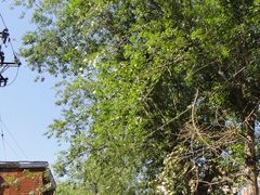 -哈尔滨北方国际青年旅舍(中央大街店)