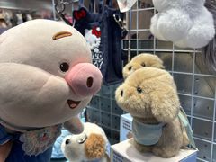 -重庆十八梯传统风貌区