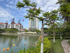 -厦门大学(思明校区)