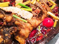 -老板恋上鱼(振华商厦店)