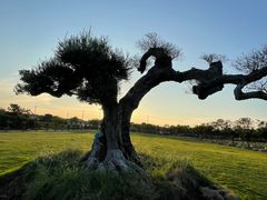 -梅园婚恋·婚姻介绍