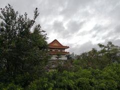 -海口市博物馆