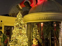 -弦月窗LUNETTE BY AMANDA(复兴路店)