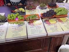 -马陆小张葡萄园农家乐