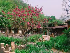 -北京水岸山吧度假村(雁栖镇店)