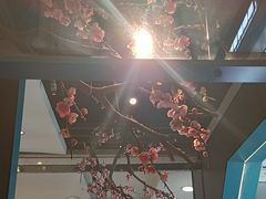 -老板恋上鱼(振华商厦店)