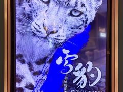 -英皇电影城(平安金融中心IMAX激光店)