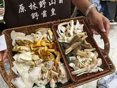 -原林野山菌火锅·炒菌(关上野生菌一条街店)