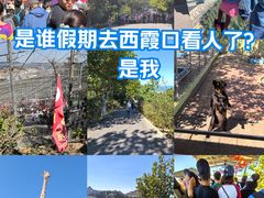 -西霞口神雕山野生动物世界