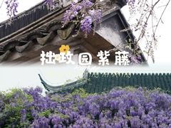 -东山雕花楼