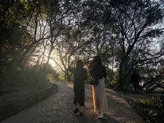 -紫金山山顶公园