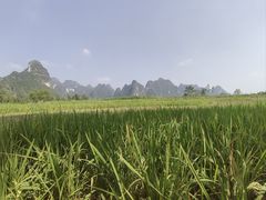 -明仕田园