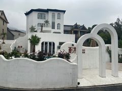 -龙坞茶村