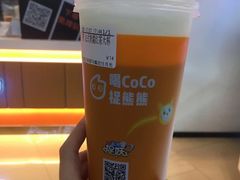 -CoCo都可(嘉定日月光店)
