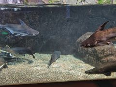 -太平洋海底世界