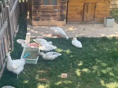 -HERRE·FARM 赫尔露营农场·团建聚会包场