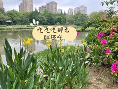 -金山公园
