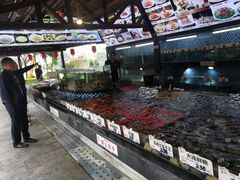 -顺德了能馆(虎门店)