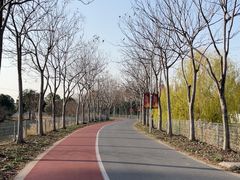 -上海长兴岛郊野公园