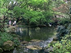 -中国茶叶博物馆(双峰馆区)