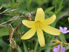 -白草畔自然风景区