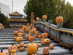 -郑州方特梦幻王国