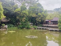 -深圳国际园林花卉博览园