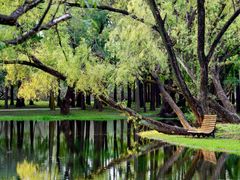 -上海共青森林公园