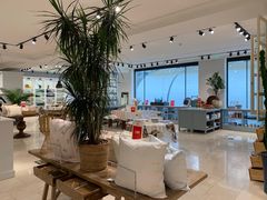-ZARA(世贸天阶店)