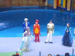 -烟台海昌鲸鲨海洋公园