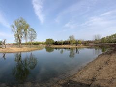 -大兴滨河森林公园