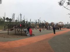 -枫香湖儿童公园