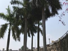 -石炮台公园