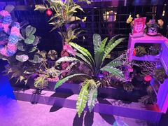 -粉墨特色菜·烧烤音乐酒馆