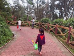 -漳州滨海火山岛自然生态风景区