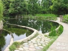 -成都市活水公园