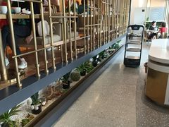 -金香匯晚茶(浑南店)