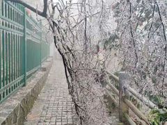 -紫金山山顶公园