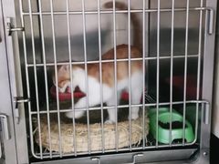 -安安宠医·安宠宠物医院