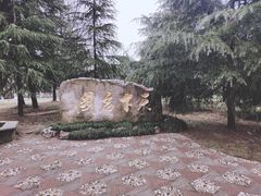 -水绘园
