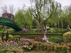 -上海鲜花港