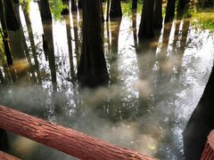 -东湖落雁景区
