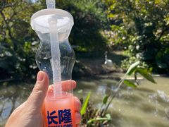 -广州长隆飞鸟乐园